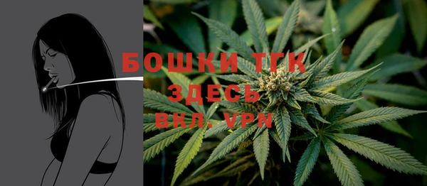 тгк Володарск