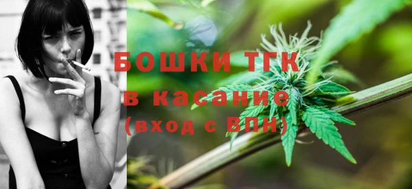 винт Вяземский